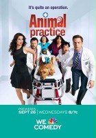 plakat filmu Animal Practice