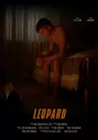 Kamil Domaradzki / Leopard