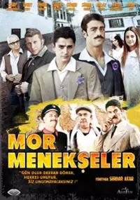 Plakat serialu Mor Menekşeler