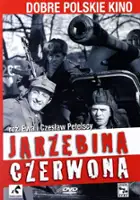plakat filmu Jarzębina czerwona