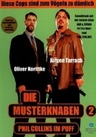 plakat filmu Die Musterknaben 2