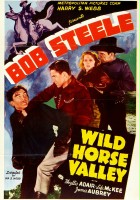 plakat filmu Wild Horse Valley