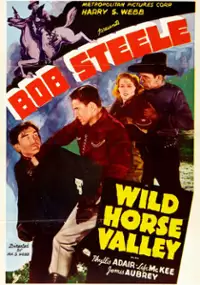Plakat filmu Wild Horse Valley