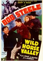 plakat filmu Wild Horse Valley