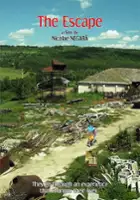 Ion Coseru / Evadarea