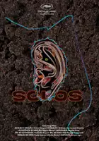 Jorge Neto / Solos