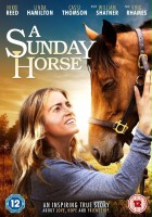 plakat filmu Niedzielny koń