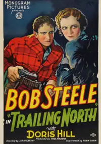 Plakat filmu Trailing North