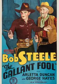 Plakat filmu The Gallant Fool