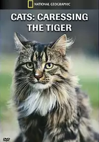 Plakat filmu Cats: Caressing the Tiger