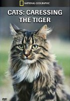 plakat filmu Cats: Caressing the Tiger