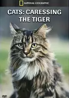 plakat filmuCats: Caressing the Tiger