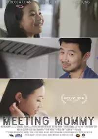 Plakat filmu Meeting Mommy