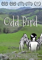 plakat filmu Odd Bird