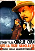 plakat filmu The Scarlet Clue