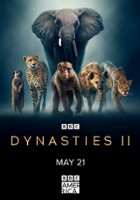 plakat serialu Dynastie II