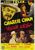 plakat filmu Dark Alibi
