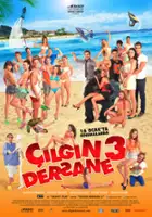 plakat filmu Çilgin dersane 3