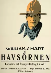 Plakat filmu Shark Monroe