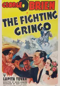 Plakat filmu The Fighting Gringo