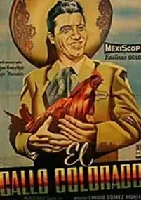 Plakat filmu El Gallo colorado