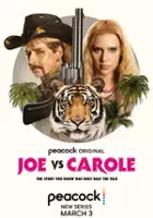 plakat serialu Joe vs. Carole