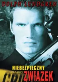 Plakat filmu Niebezpieczny związek