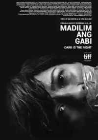 Plakat filmu Ciemna jest noc