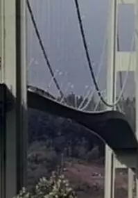 Plakat filmu Tacoma Narrows Bridge Collapse