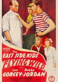 Plakat filmu Flying Wild