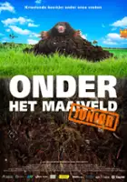 Mark Verkerk / Onder het Maaienveld Junior