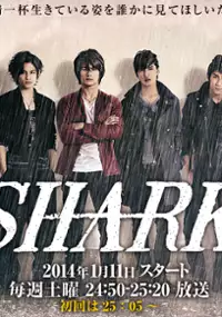 Plakat serialu Shark