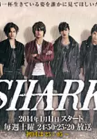 Hikaru Iwamoto / Shark