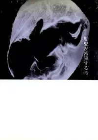 Plakat filmu Taiji ga mitsuryosuru toki