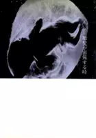 plakat filmu Taiji ga mitsuryosuru toki