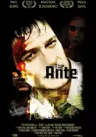 Maarten Kroonenburg / The Ante