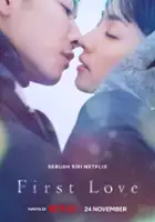 plakat serialu First Love