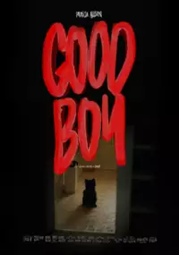 Plakat filmu Good Boy