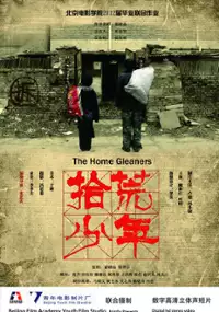 Plakat filmu The Home Gleaners