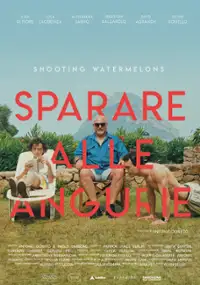 Plakat filmu Sparare alle angurie