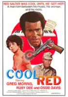 plakat filmu Countdown at Kusini