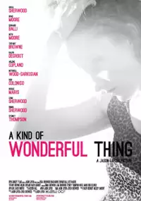 Plakat filmu A Kind of Wonderful Thing