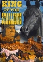 plakat filmu King of the Stallions