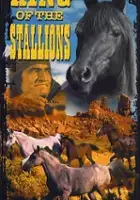plakat filmu King of the Stallions