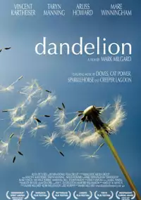 Plakat filmu Dmuchawiec