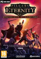 plakat gry Pillars of Eternity