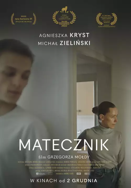 plakat filmu Matecznik