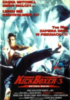plakat filmu Kickboxer 3: Sztuka walki