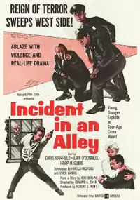 Plakat filmu Incident in an Alley