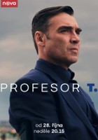 plakat serialu Profesor T.
